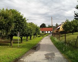 Okraj obecního parku