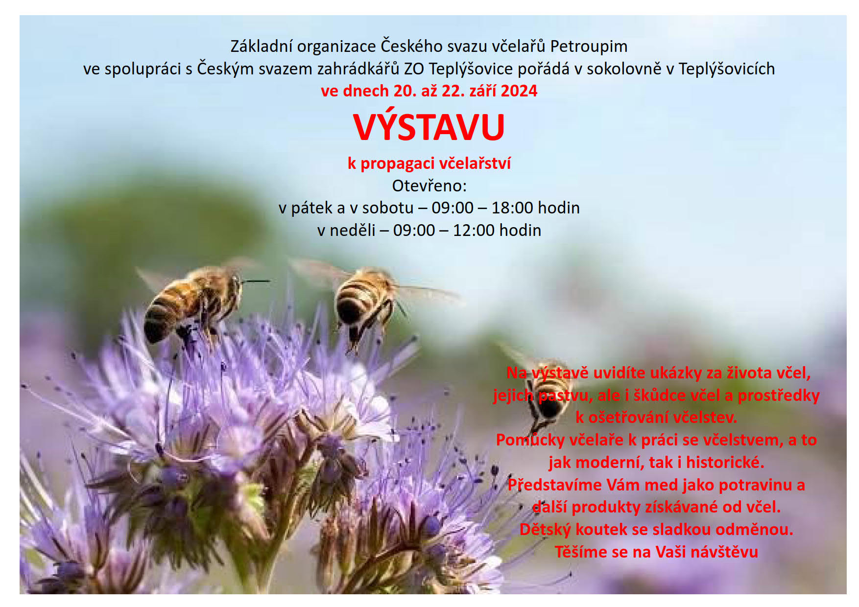 Výstava ovoce, zeleniny, květina a včelařství